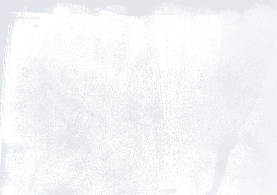 tb_web_hintergrund_2024.jpg